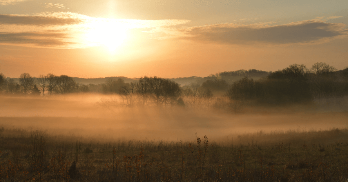 Featured Image for About Us